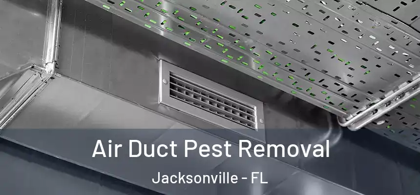 Air Duct Pest Removal Jacksonville - FL