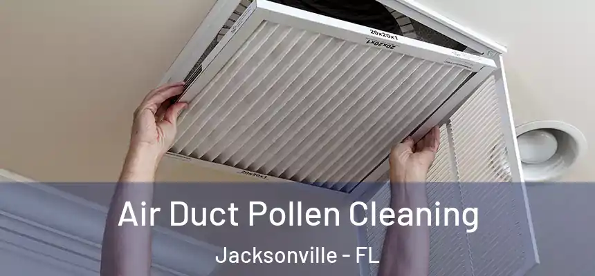 Air Duct Pollen Cleaning Jacksonville - FL