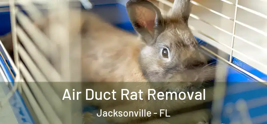  Air Duct Rat Removal Jacksonville - FL