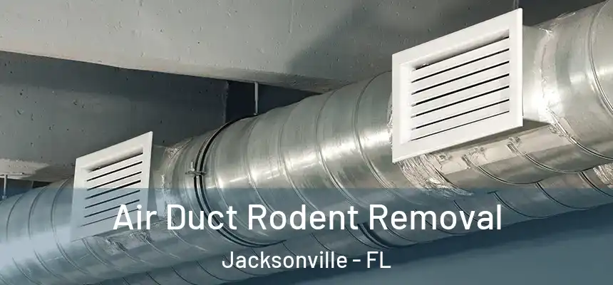 Air Duct Rodent Removal Jacksonville - FL