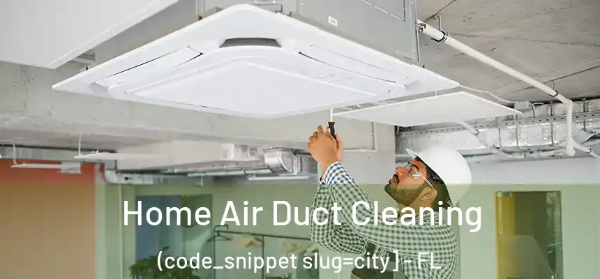 Home Air Duct Cleaning (code_snippet slug=city] - FL