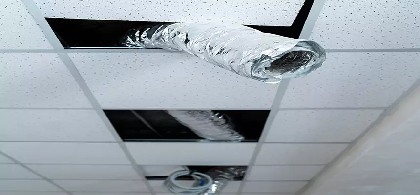 Affordable HVAC Sanitizing After Pest Removal in Jacksonville