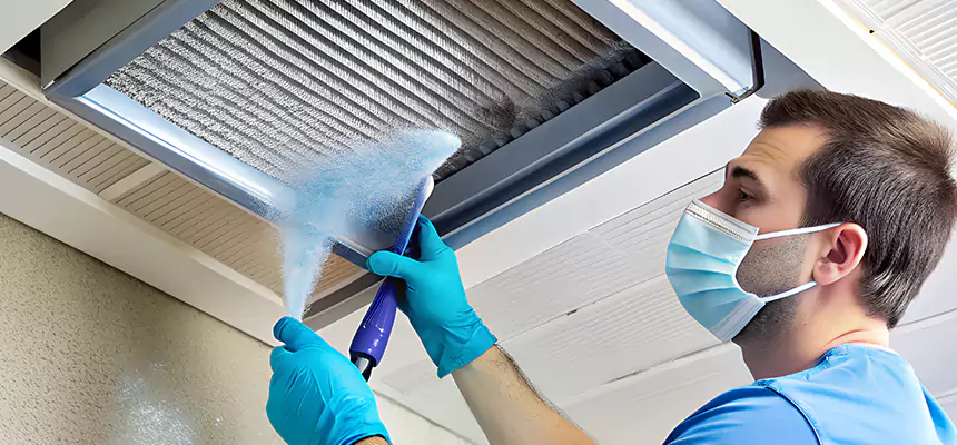 Proactive Dryer Vent & Auxiliary Duct Pollen Cleanup in Jacksonville, FL