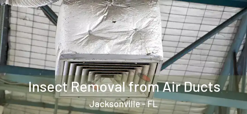 Insect Removal from Air Ducts Jacksonville - FL