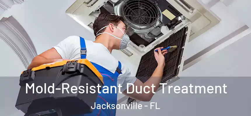 Mold-Resistant Duct Treatment Jacksonville - FL