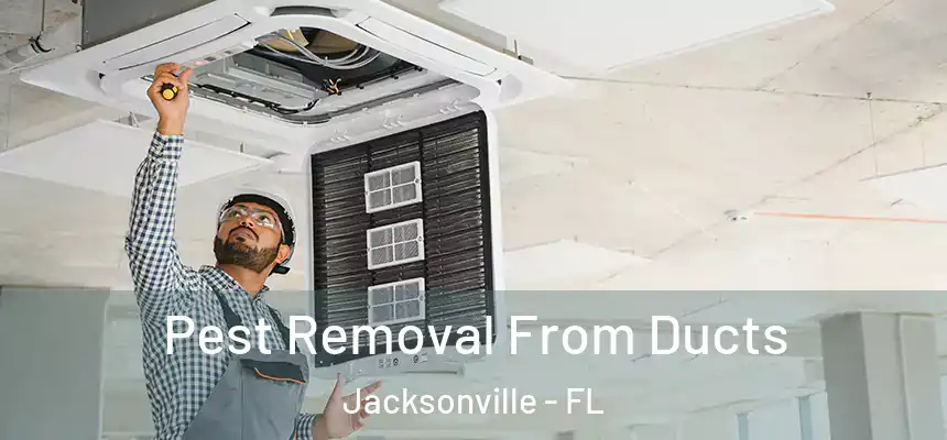  Pest Removal From Ducts Jacksonville - FL
