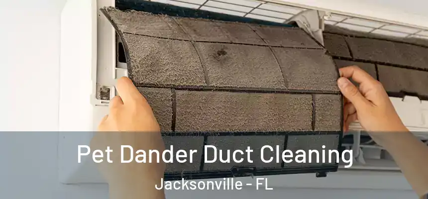 Pet Dander Duct Cleaning Jacksonville - FL