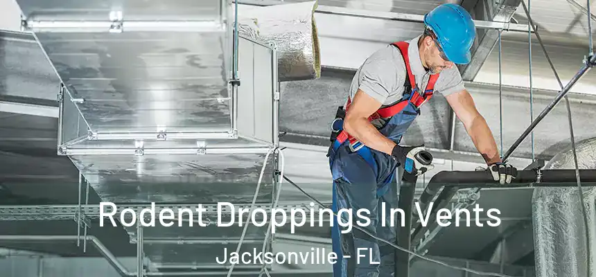 Rodent Droppings In Vents Jacksonville - FL