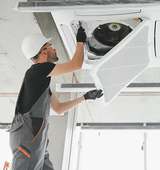 About Air Duct Rodent Removal in Jacksonville, FL