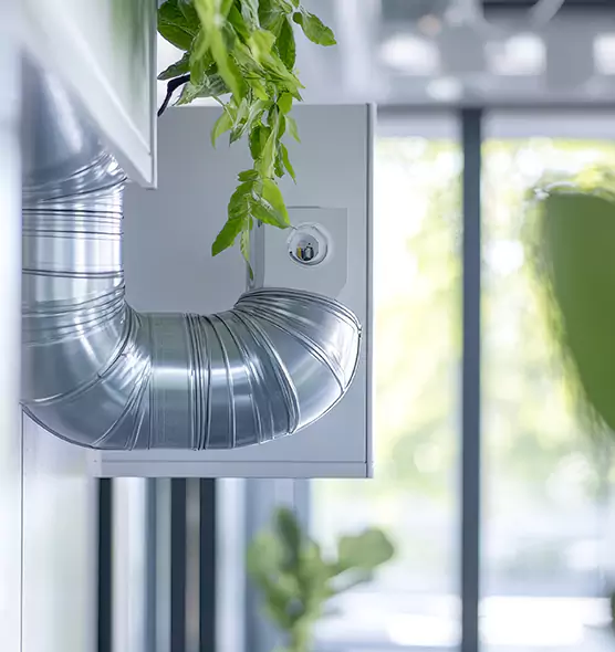 Professional Eco-Safe Dryer Vent Cleaning in Jacksonville, FL