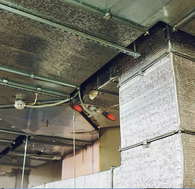 Why Homeowners & Businesses Trust Us in Jacksonville, FL?