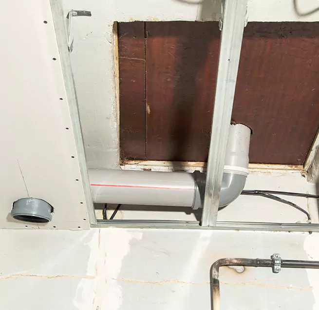 Why Homeowners & Businesses Trust Us in Jacksonville, FL?