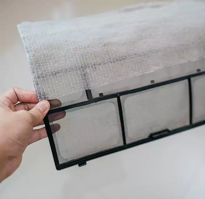 Why Homeowners & Businesses Trust Us in Jacksonville, FL?