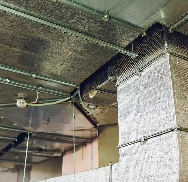 Why Homeowners & Businesses Trust Us in Jacksonville, FL?