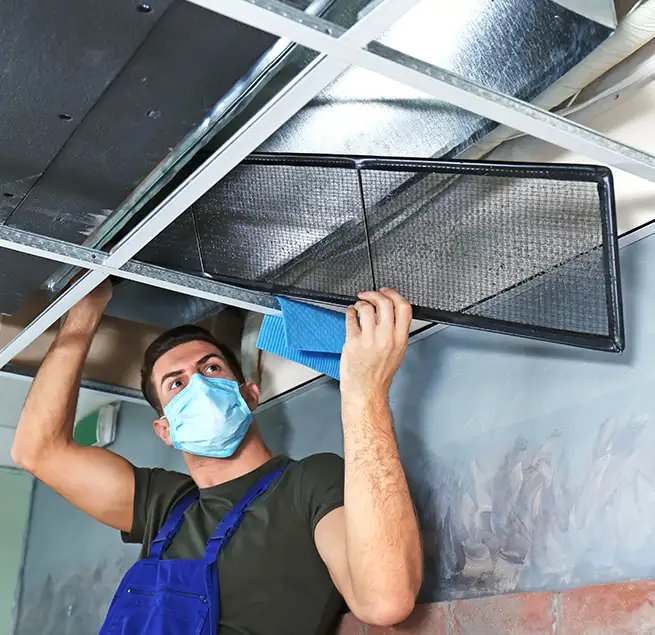 Why Homeowners & Businesses Trust Us in Jacksonville, FL?