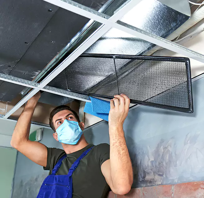  Why Homeowners Businesses Trust Us  in Jacksonville, FL?